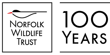 Recruiter Image